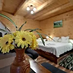 Magnat Sauna & Relax Nocleg ze śniadaniem 3*