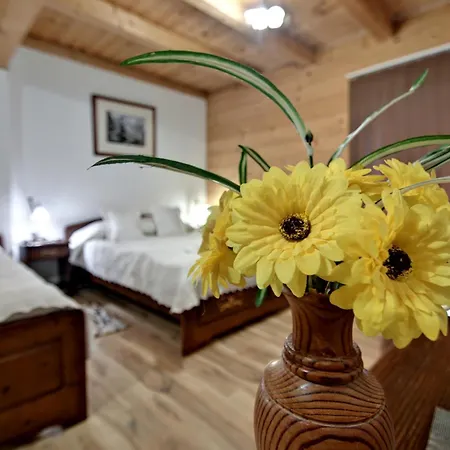 Bed & Breakfast Magnat 3*