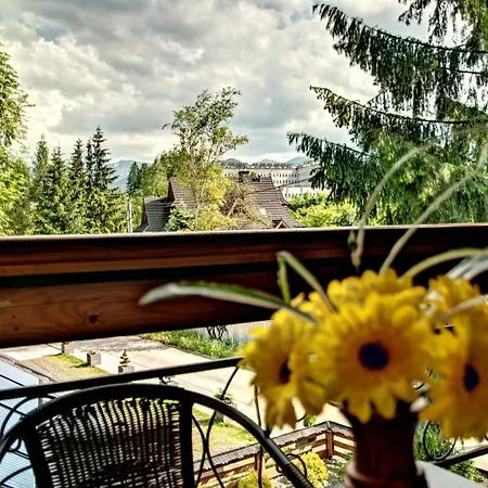 Magnat Sauna & Relax ベッド・アンド・ブレックファスト ザコパネ