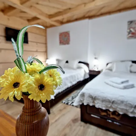 Magnat & Sauna & Relax Zakopane