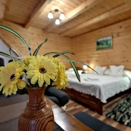 Magnat Sauna & Relax Bed & Breakfast 3*